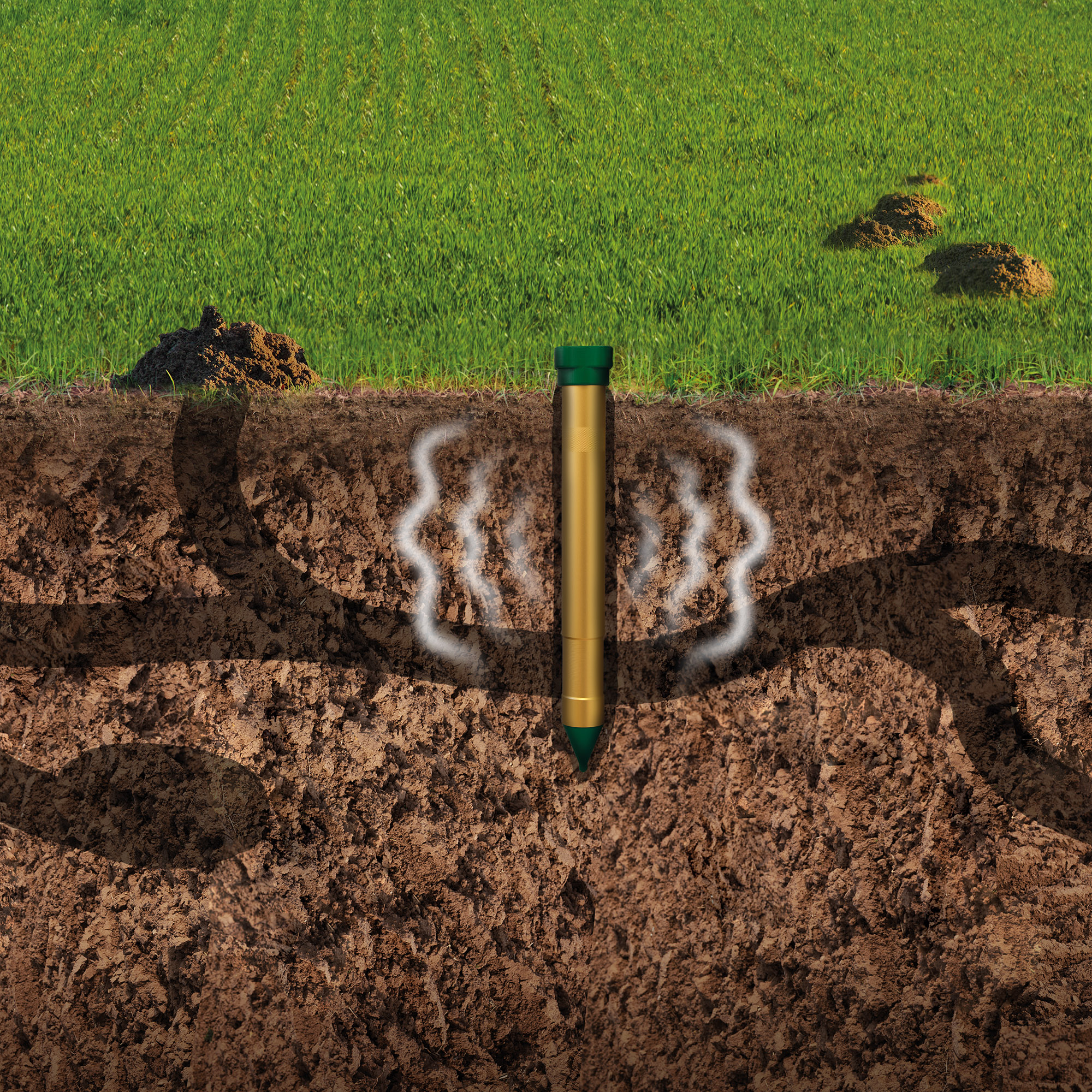 Die Tiere verlassen sich auf ihren Tast- und Spürsinn, der durch die unterirdischen Vibrationen gestört wird.