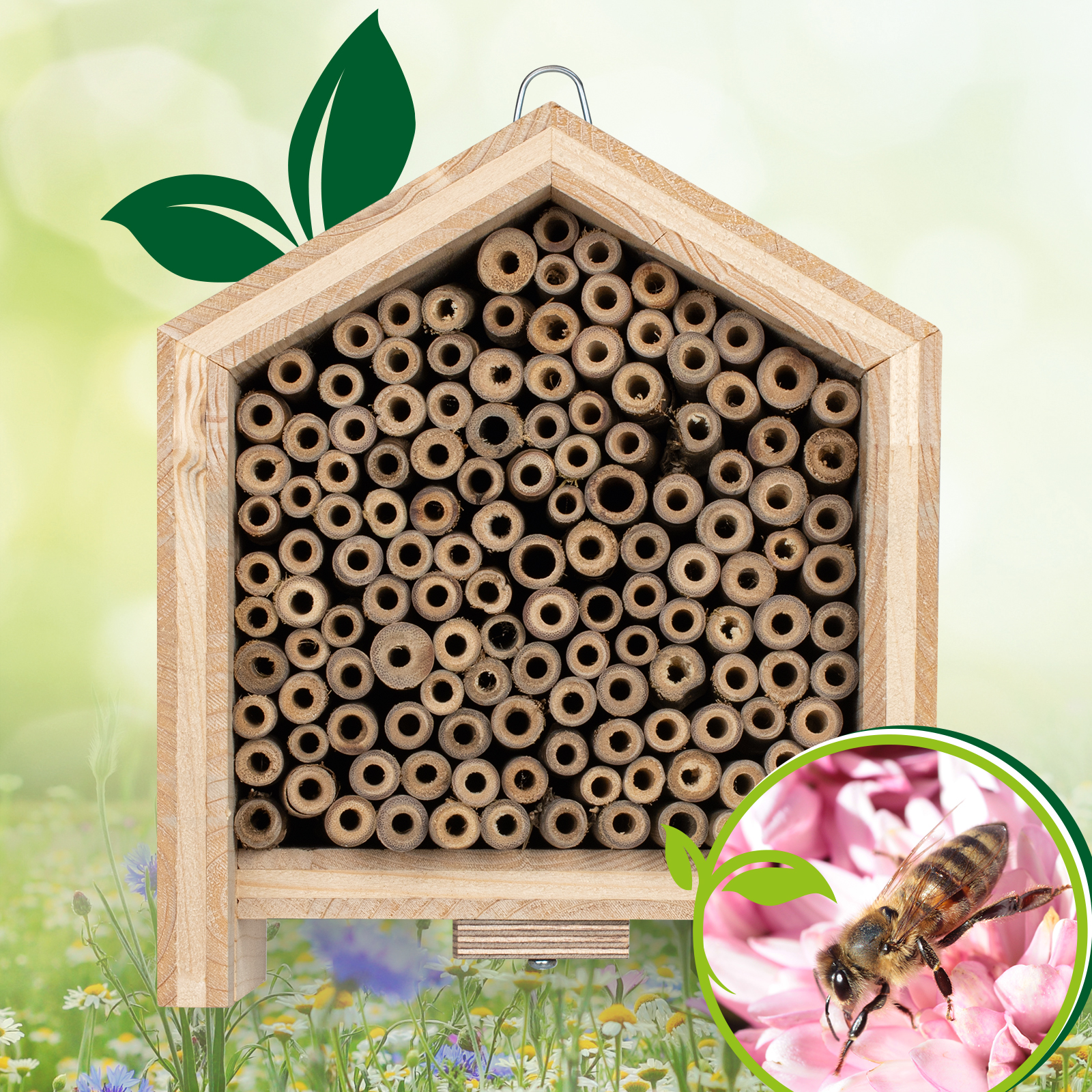 Wildbienen brauchen unsere Unterstützung gerade ganz besonders, da ihre Population in Deutschland immer weiter sinkt.