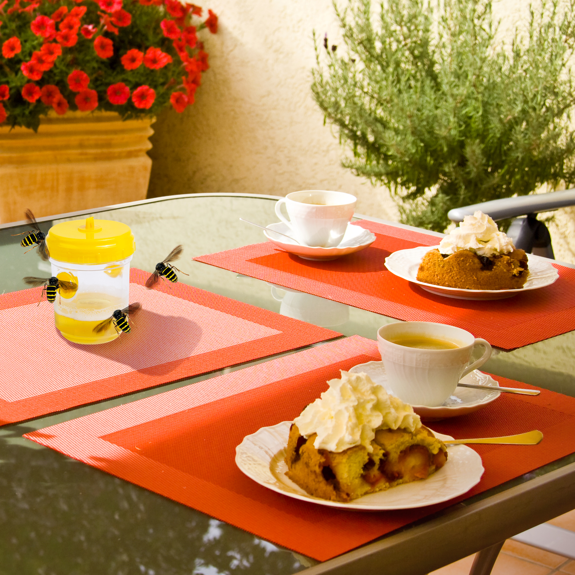 Genauso wie wir lieben Wespen süße Speisen und machen sich auch in unserer Anwesenheit gerne darüber her.