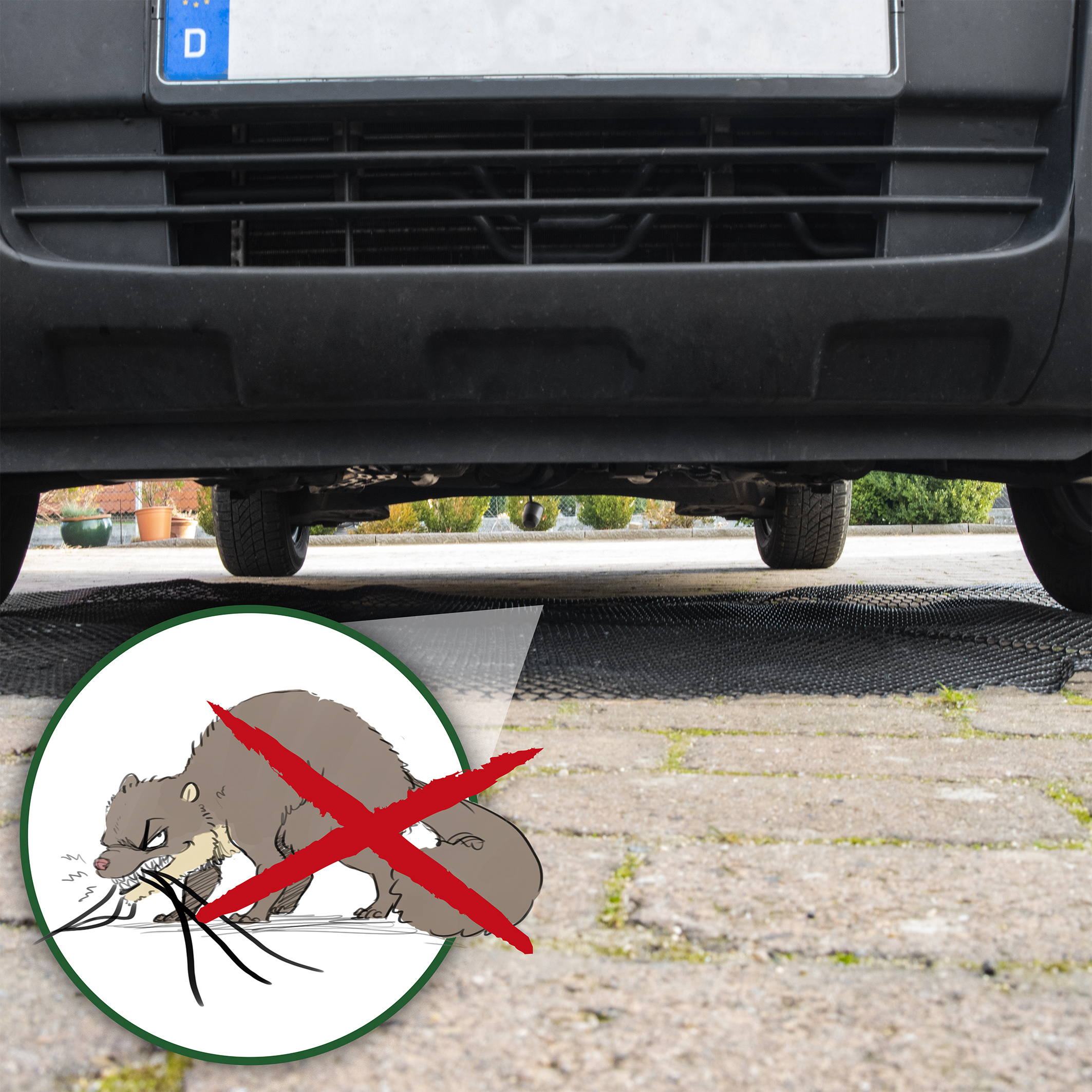 Die Tiere laufen nur ungern auf unebenen Oberflächen. Dies kann man sich zum Schutz seines Autos zu Nutze machen.