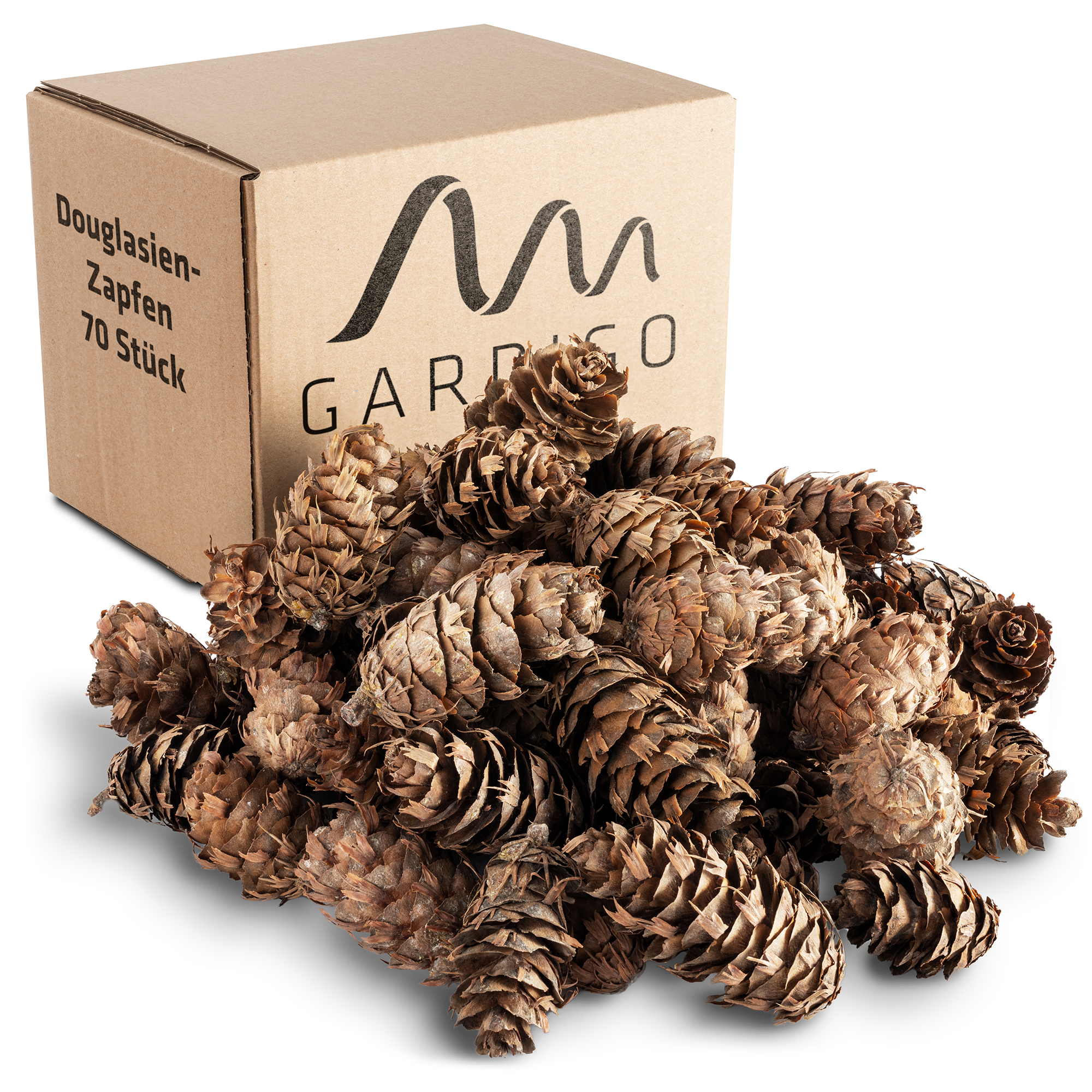 Pigne di Abete Douglas - ca. 70 Pezzi