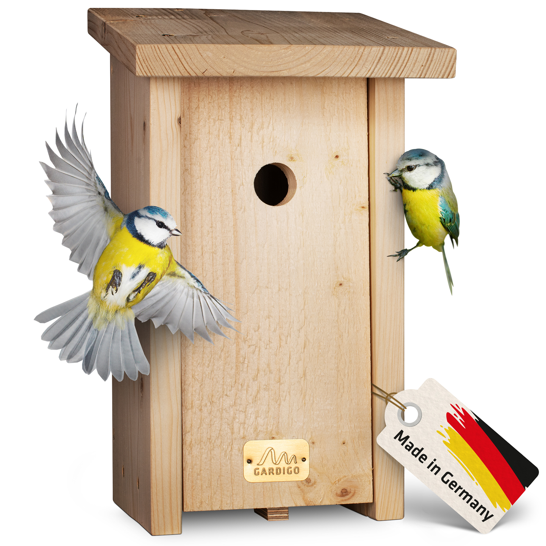 Nido per Cinciallegre