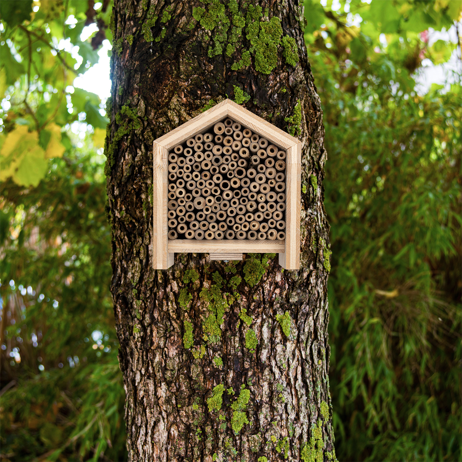 Es wird ein Nagel aus Aluminium mitgeliefert, der nicht rostet und somit unschädlich für Bäume ist.