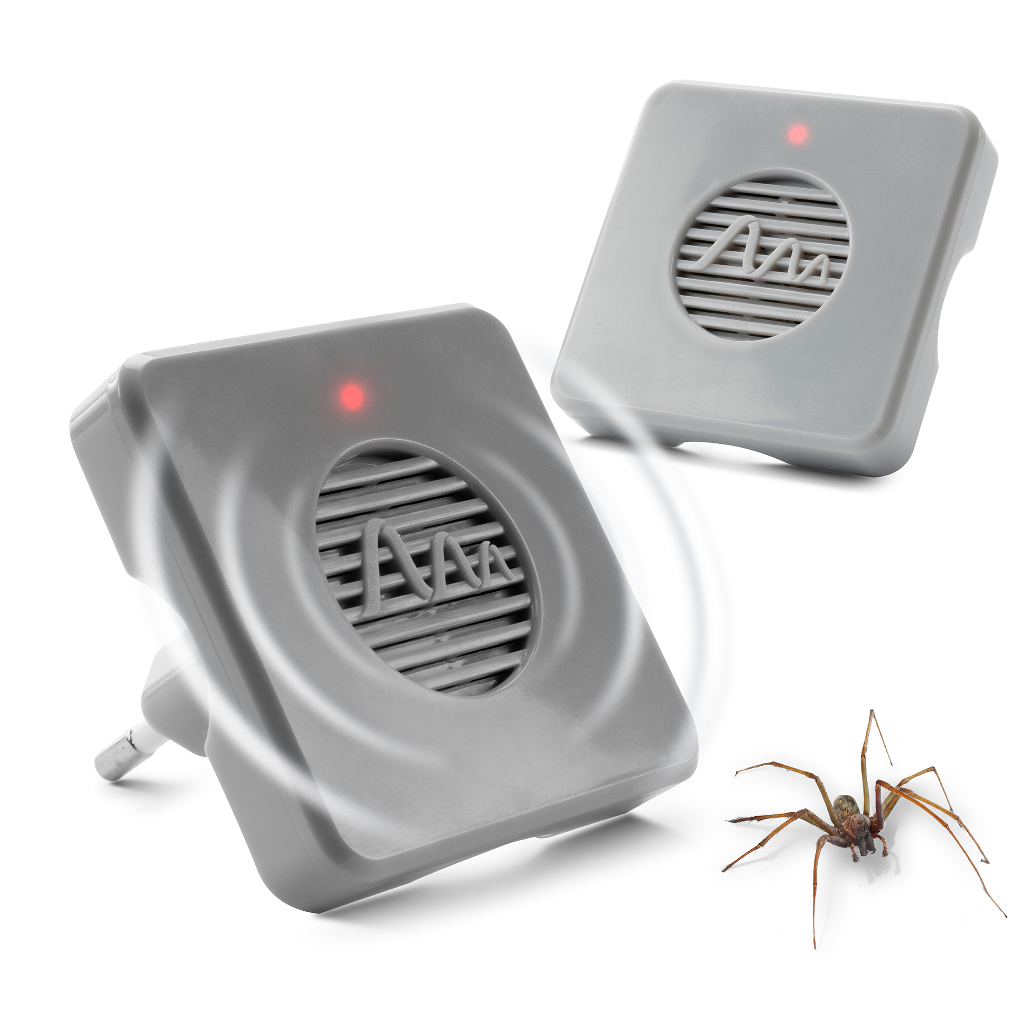 Spina Repellente per Ragni