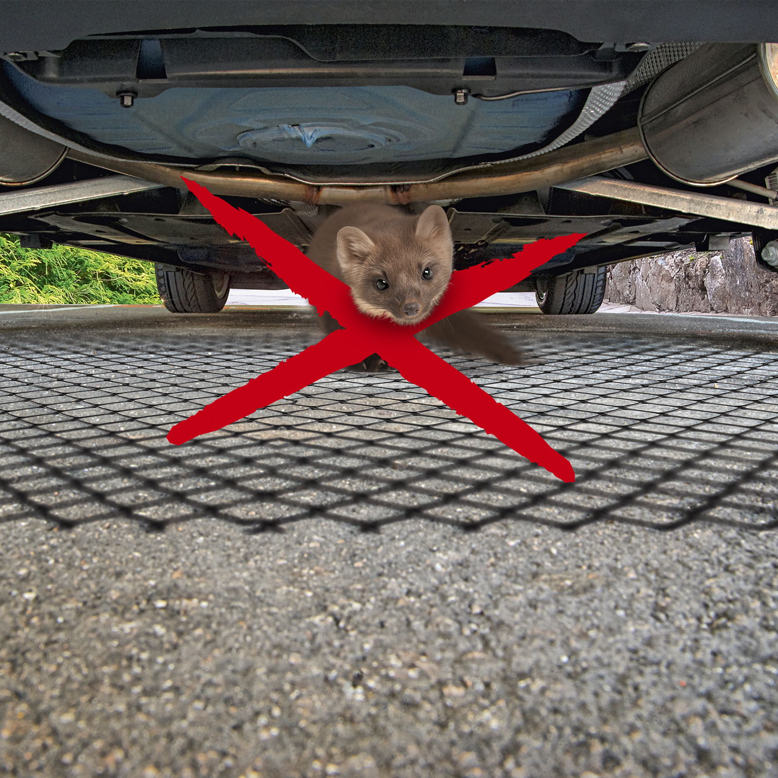 Marder vom Motor fernhalten mit dem Mardergitter von GARDIGO.