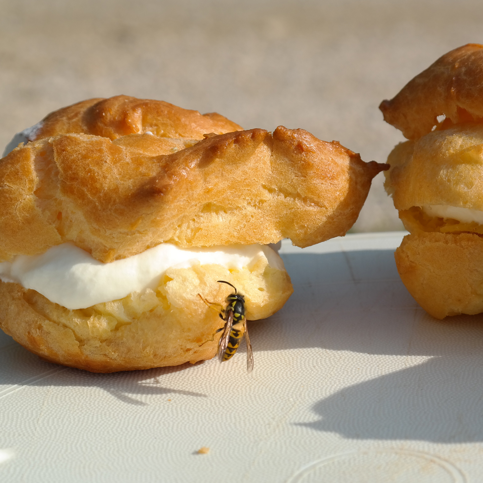 Verwenden Sie eine Mischung aus Zuckerwasser und Essig um die Wespen in die Falle zu locken.