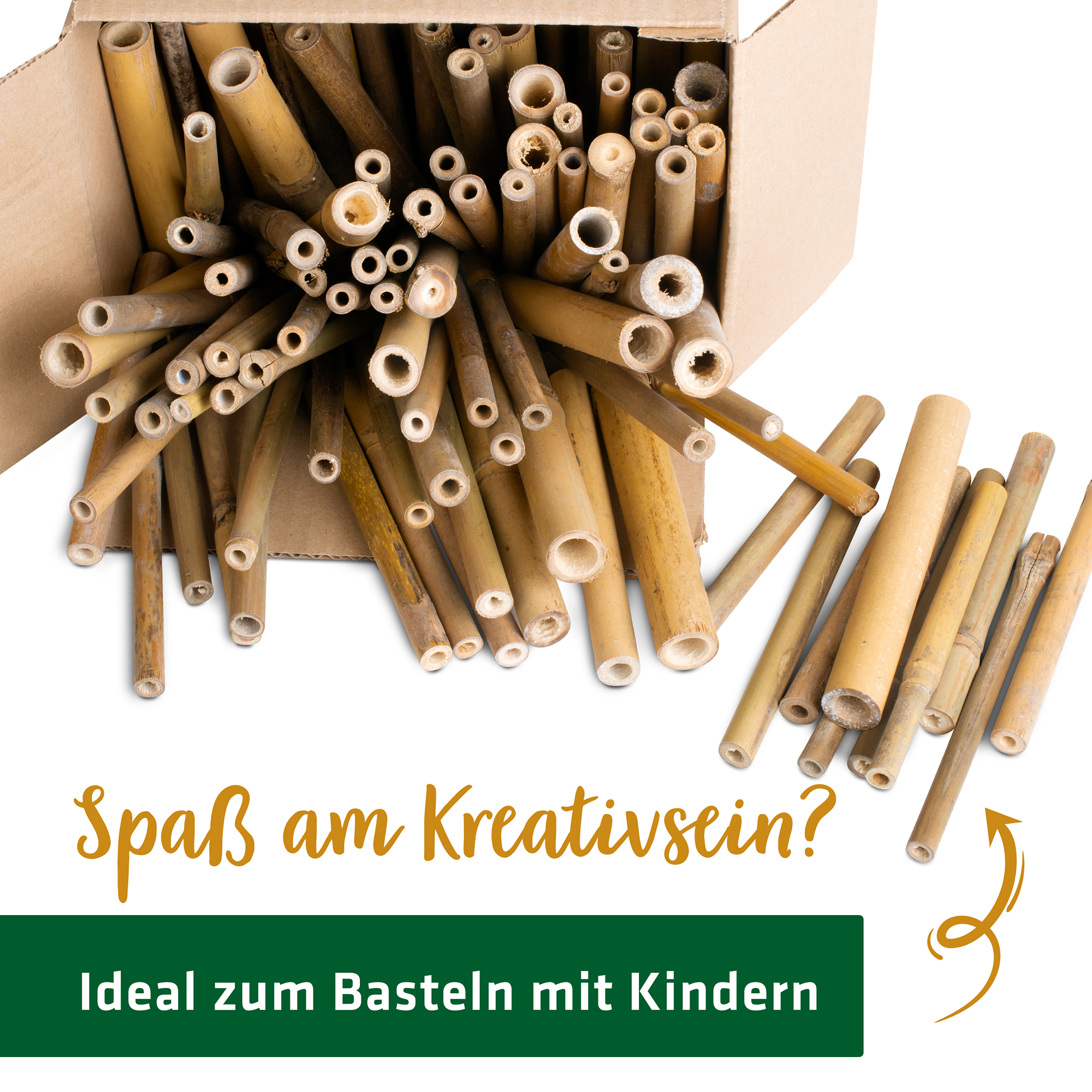 Sobald ein Röhrchen von einer Biene benutzt wurden sollten Sie diese Röhre auswechseln um neue Bienen anzulocken.