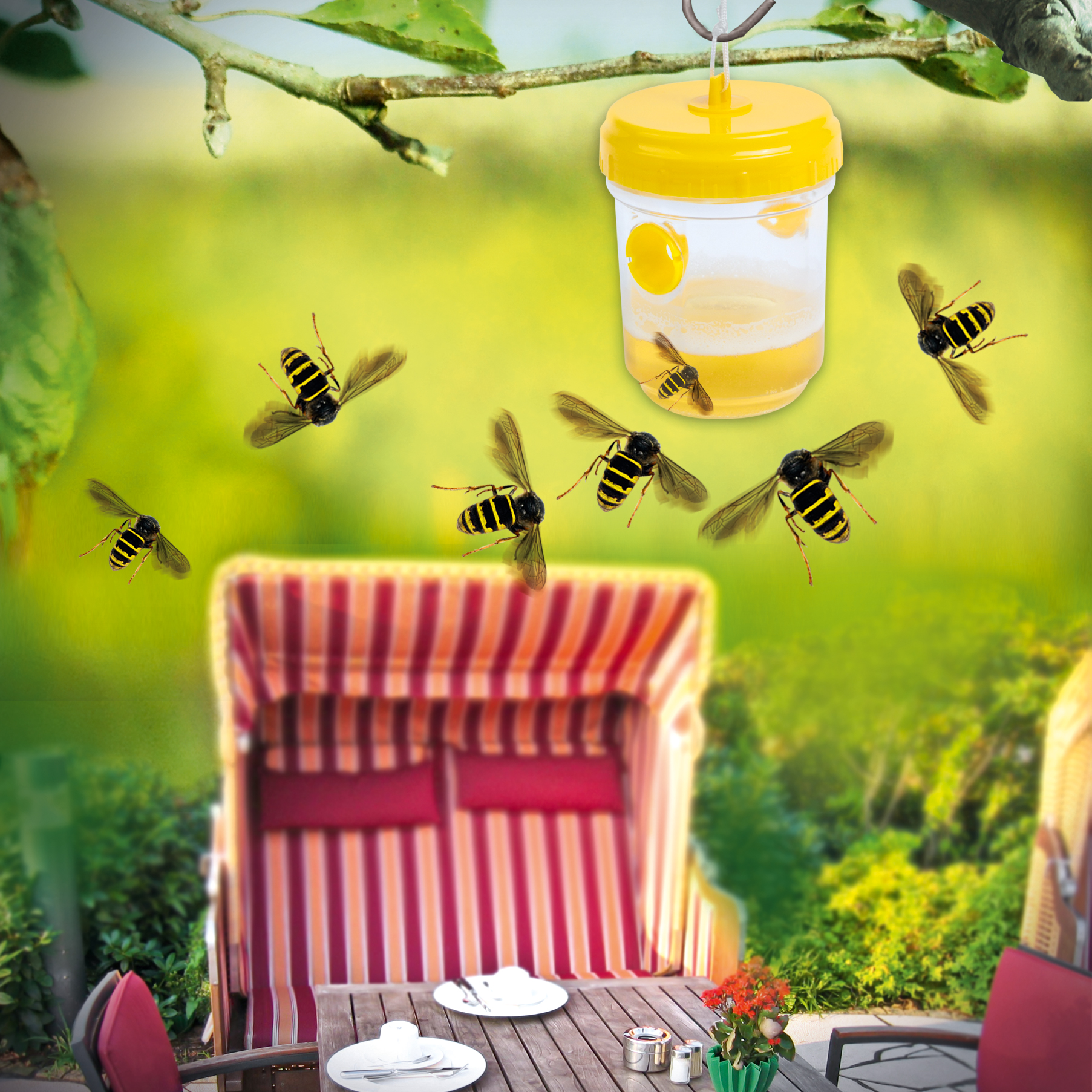 Wespen fangen am Kaffeetisch
