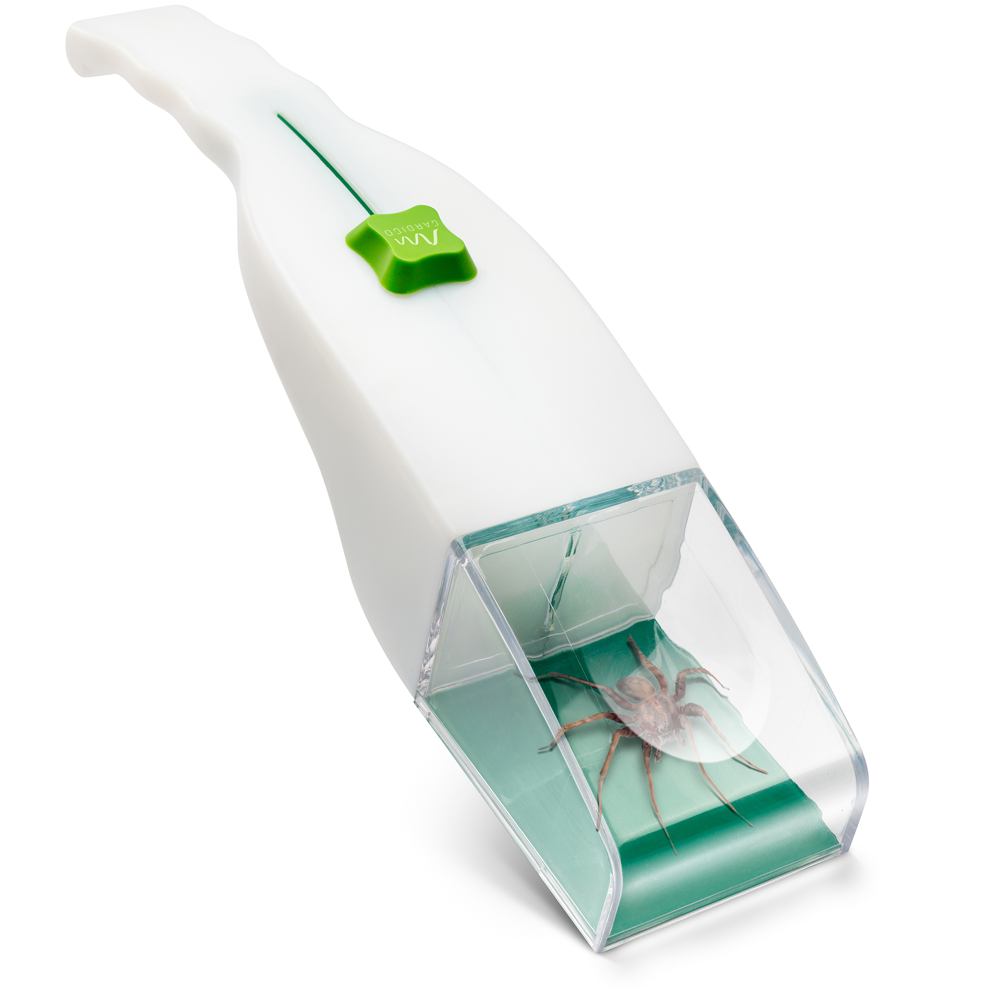 Acchiappa Insetti con Lente d’Ingrandimento