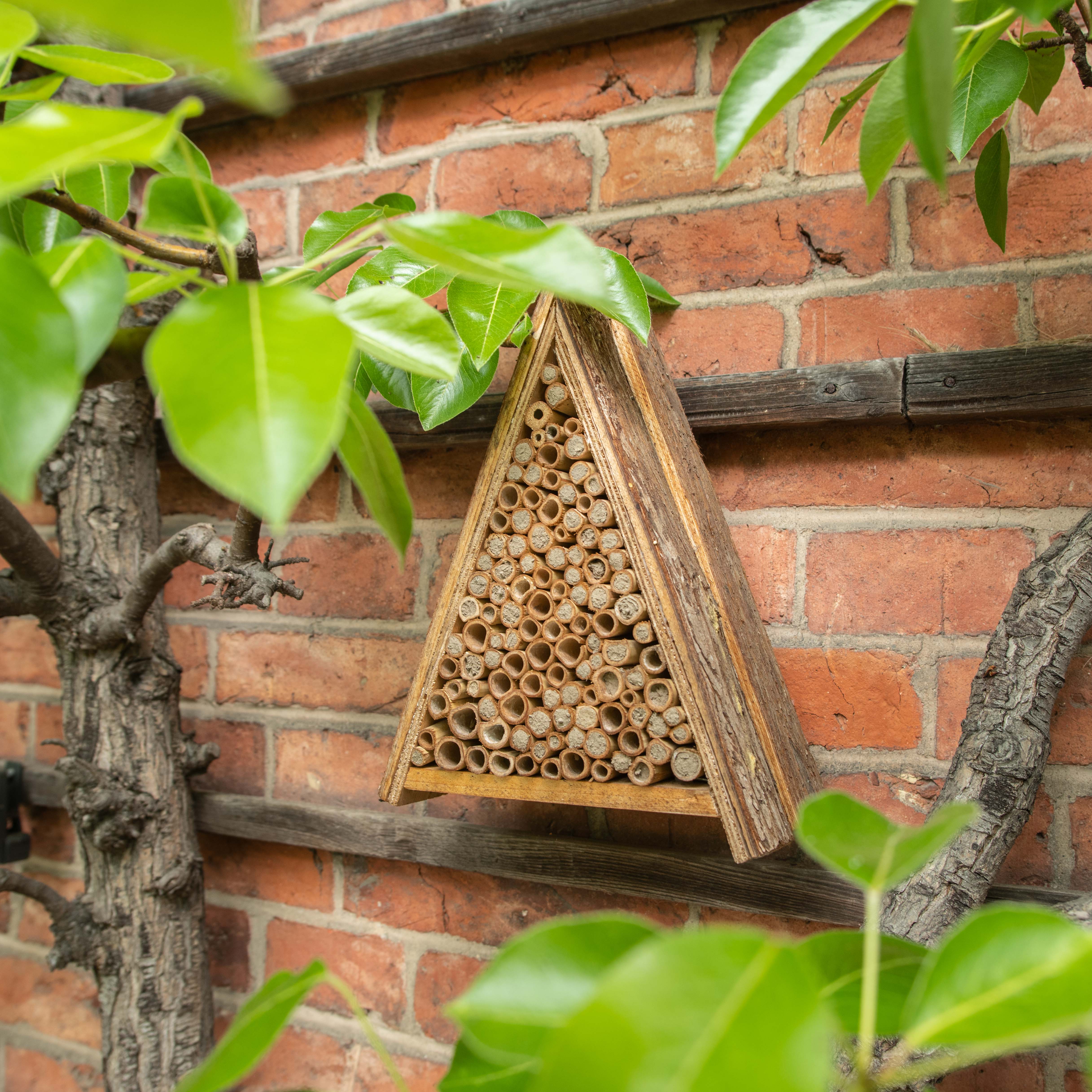 Sind die Röhrchen vorne geschlossen dann liegen dort Bieneneier, die sich gerade entwickeln.