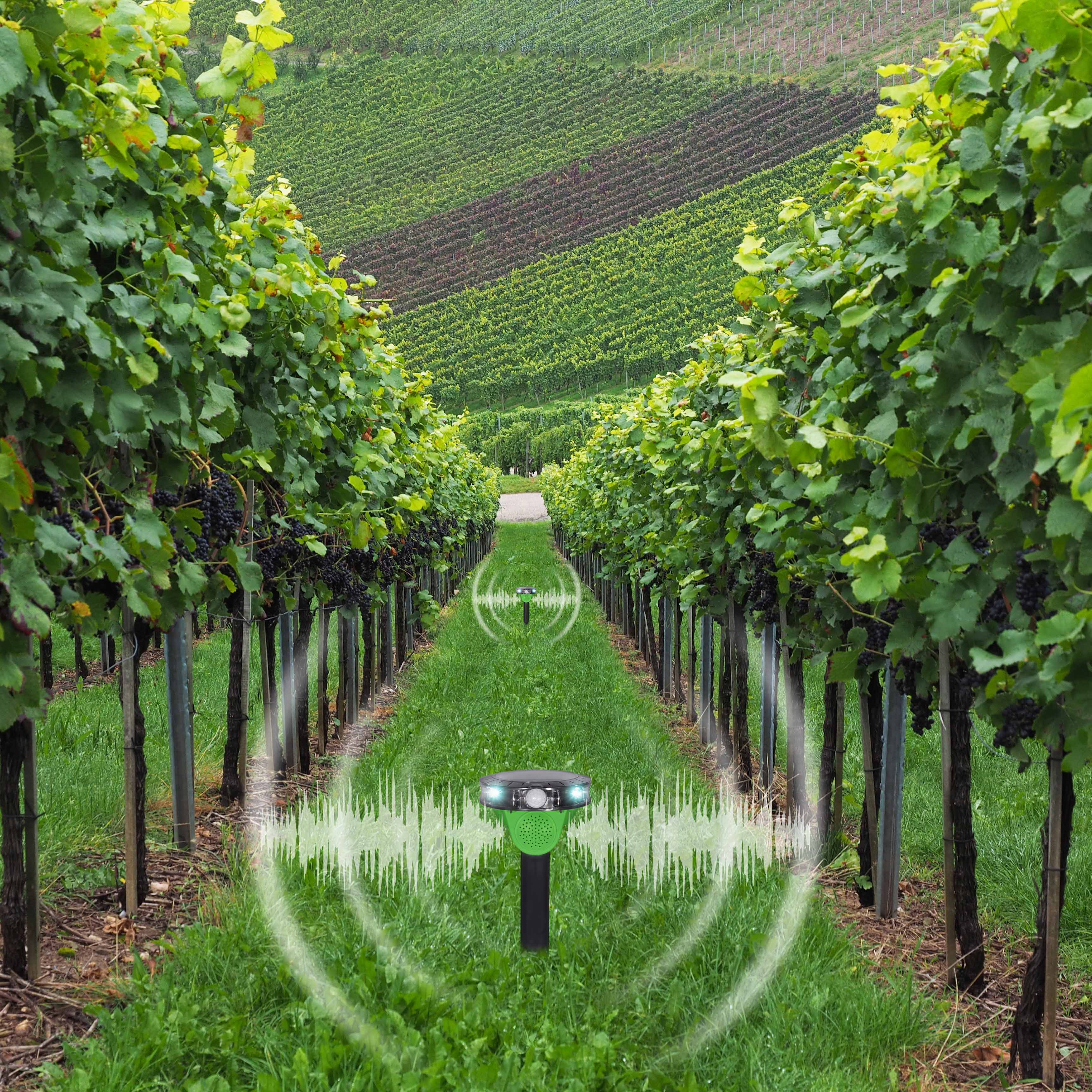 Das Gerät nutzt das gleiche Prinzip wie die Flughafen-Vogelabwehr und kann auch in der Landwirtschaft eingesetzt werden.