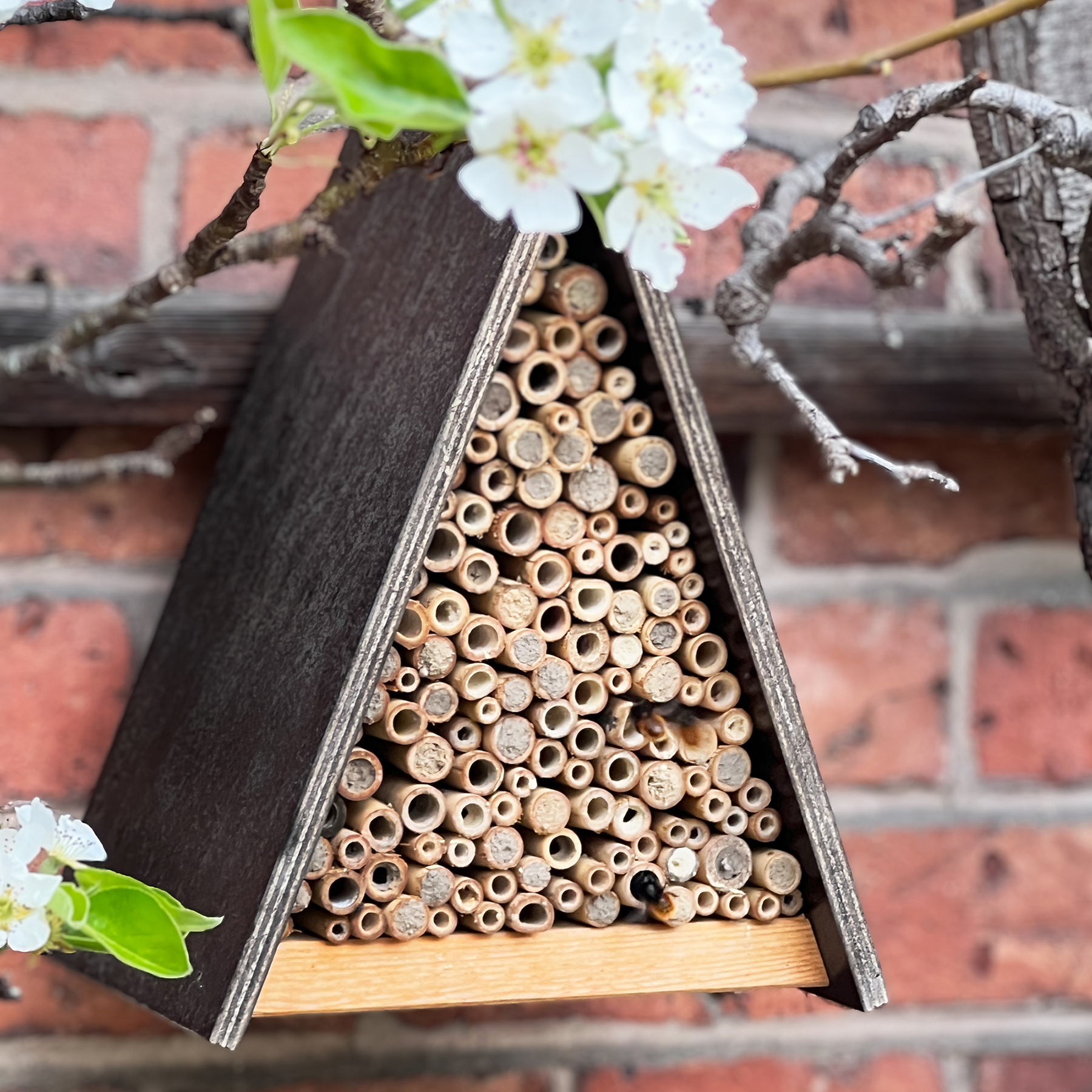 Das Wildbienenhotel von GARDIGO im Einsatz – viele Bienen sind schon im Gange. Es summt und brummt. Viele Röhrchen sind schon belegt.