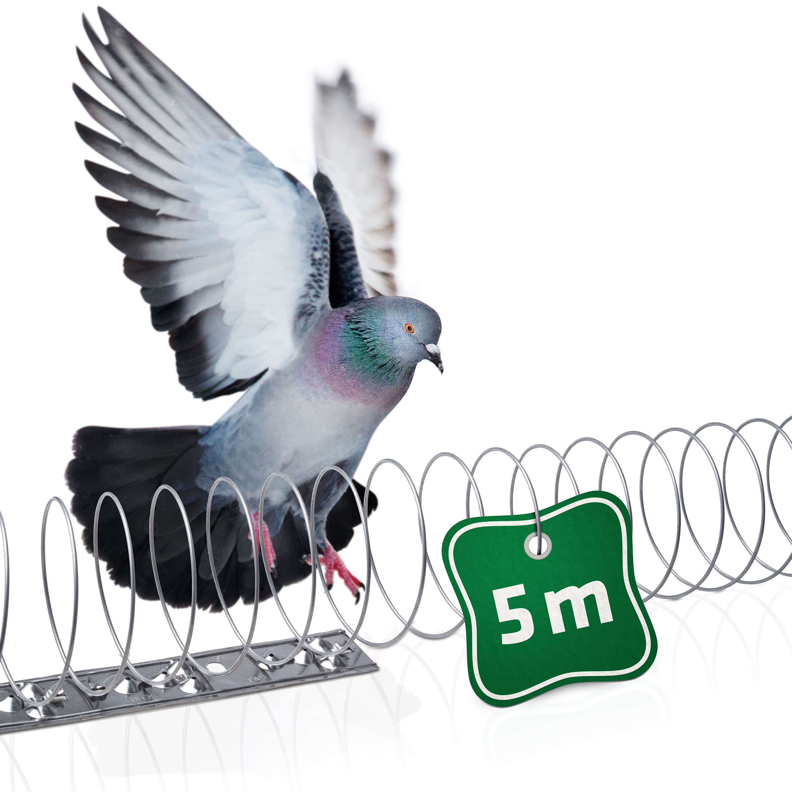 Dissuasori per Piccioni 5m