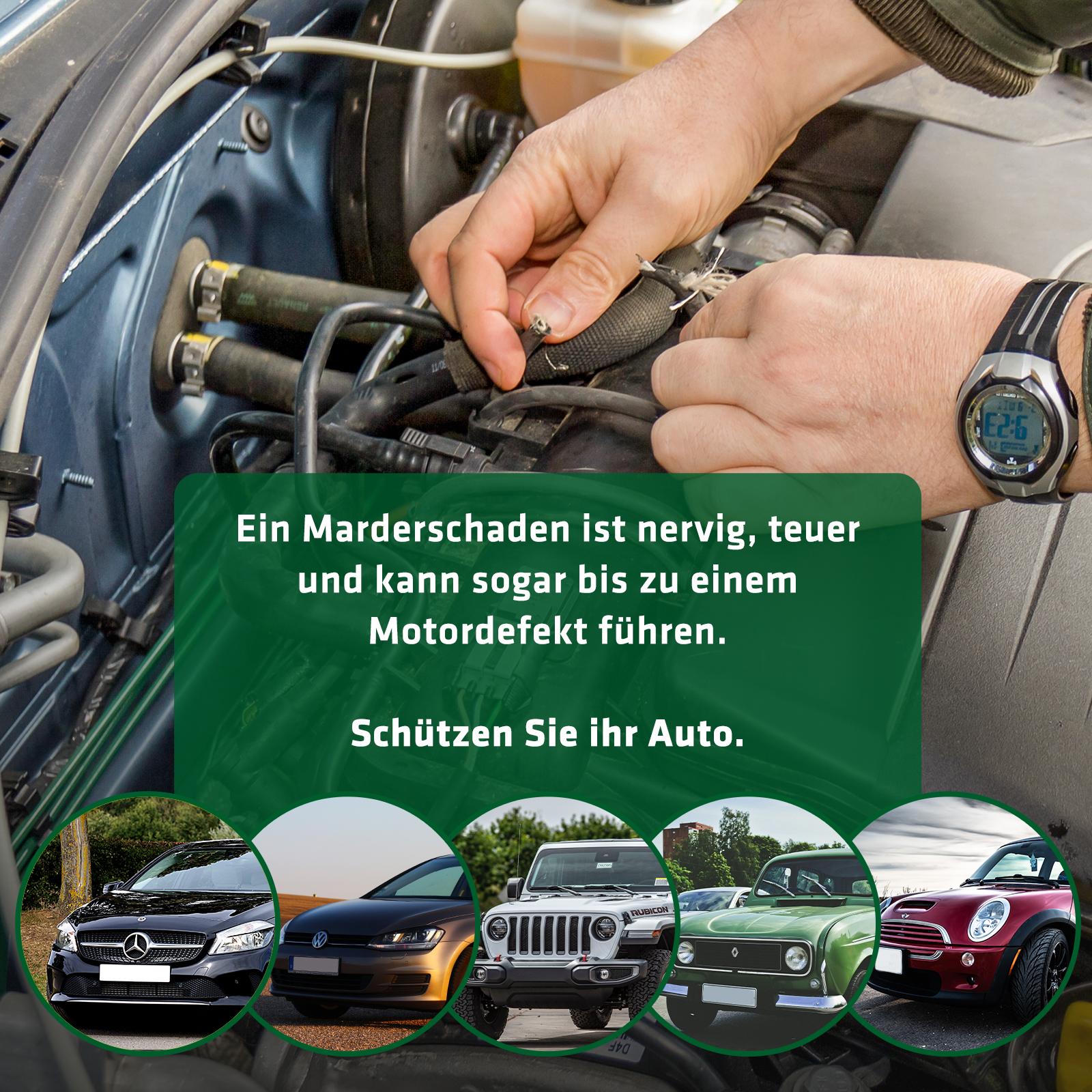 Ein Marderschaden wird meist erst spät erkannt & kann gefährlich und sehr teuer sein.