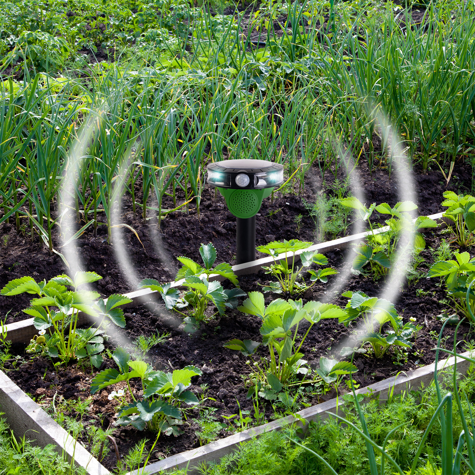 Auch Beete und andere Pflanzen können dadurch geschützt werden.