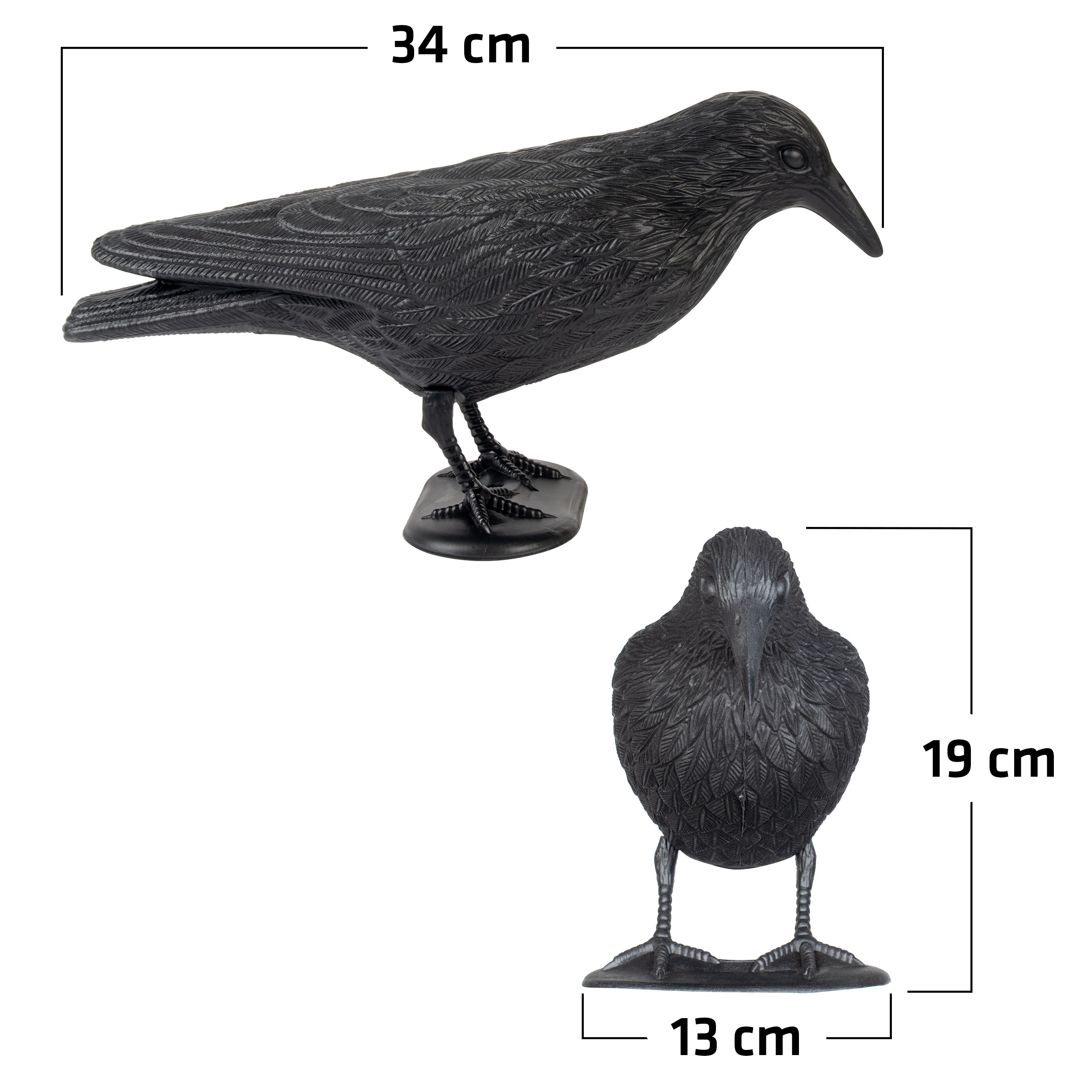 Die Abmessungen der Krähenattrappe