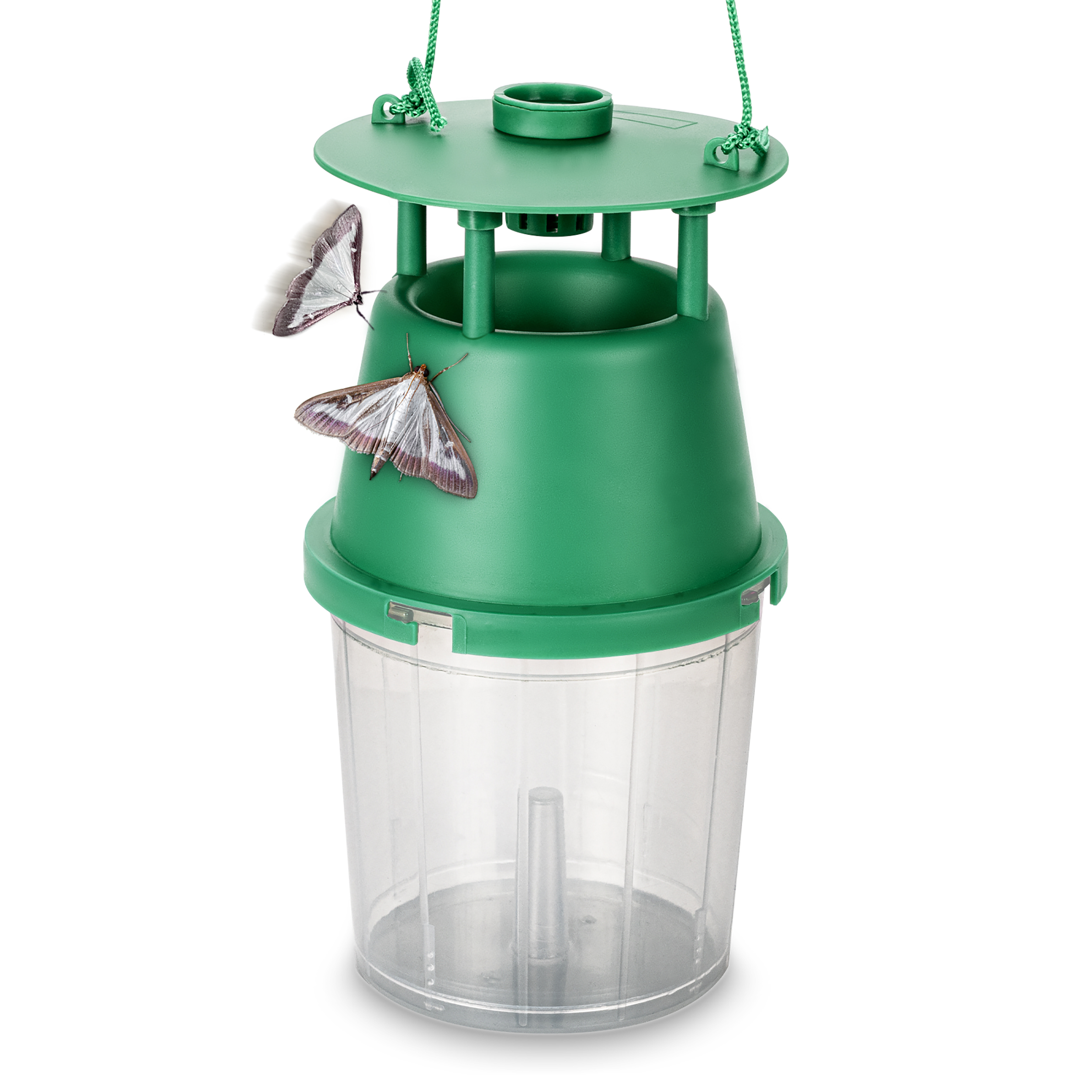 Trappola Piralide del Bosso