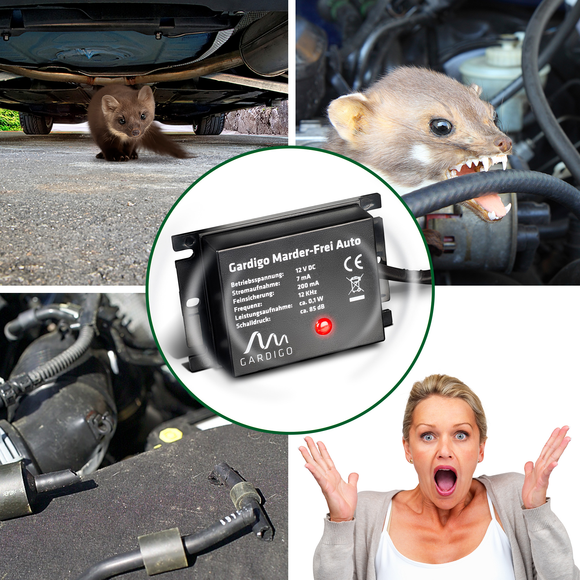 Aas, Dreck, kaputte Kabel und ein fauliger Geruch sind einige Dinge, die niemand an seinem Auto finden möchte.