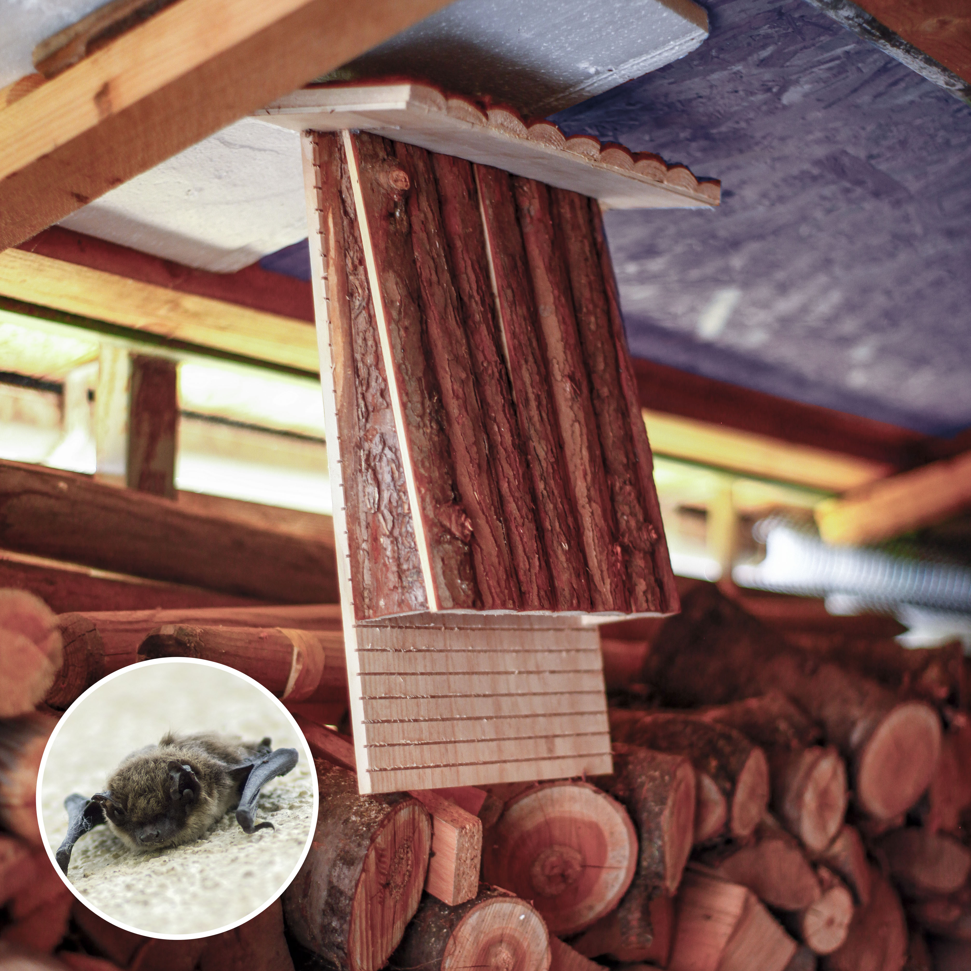 Das Brett hat kleine Querschnitte damit sich die Tiere besser festhalten können.