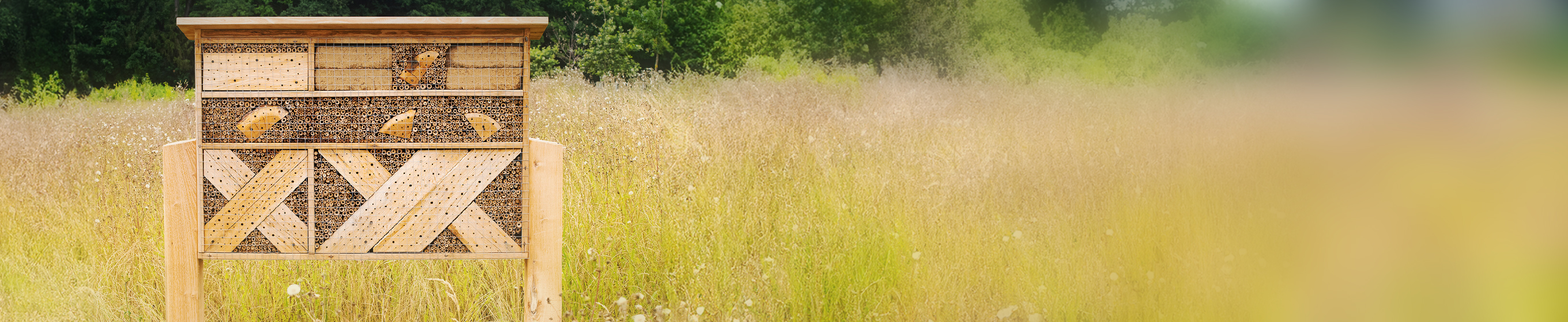 Casa per insetti premium