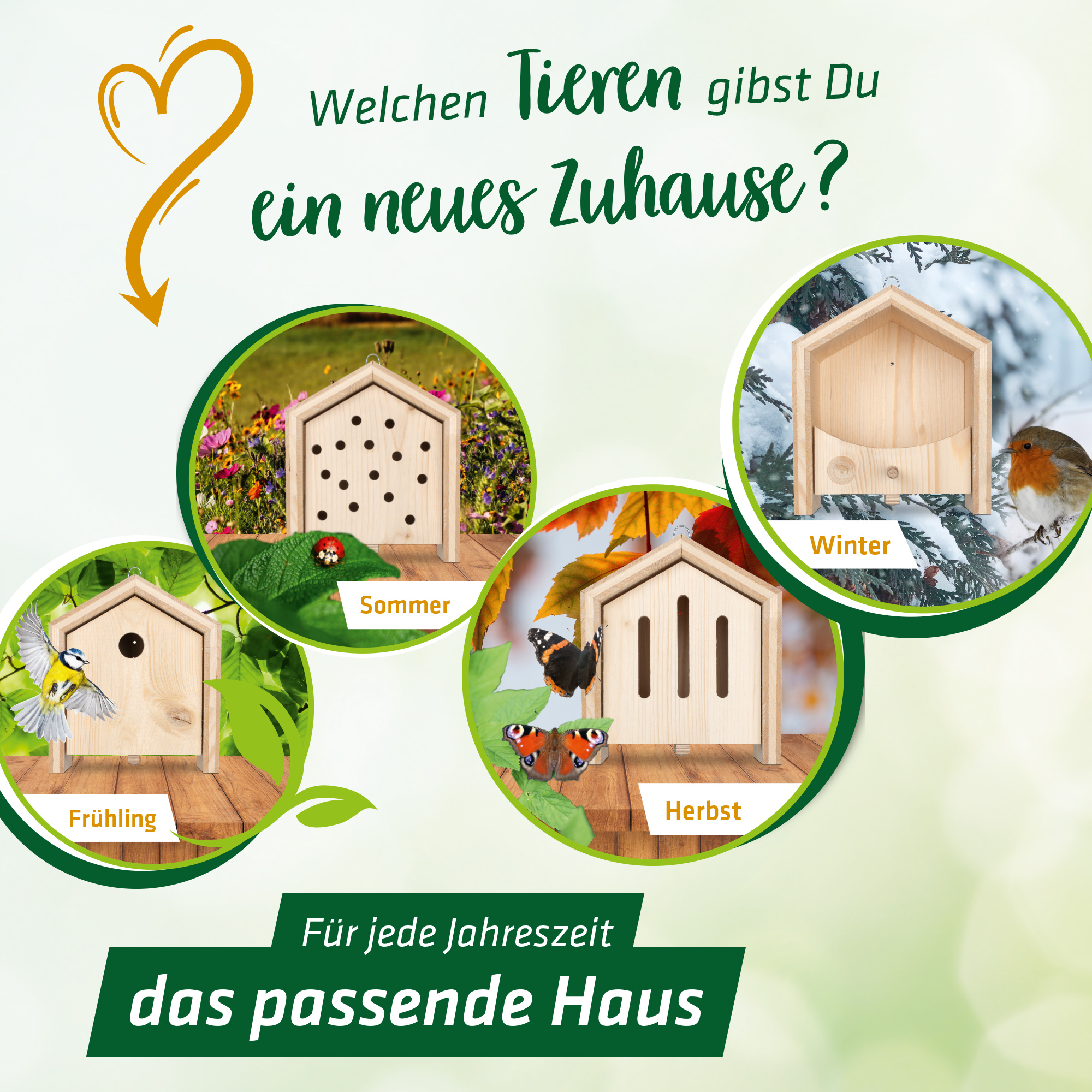 Welchen Tieren geben Sie ein neues Zuhause?