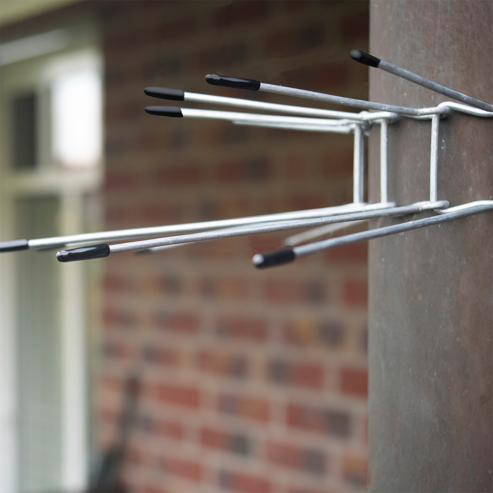 Der Marder-Abwehrgürtel versperrt den Tieren den Weg über die Regenrinne auf Ihr Dach.