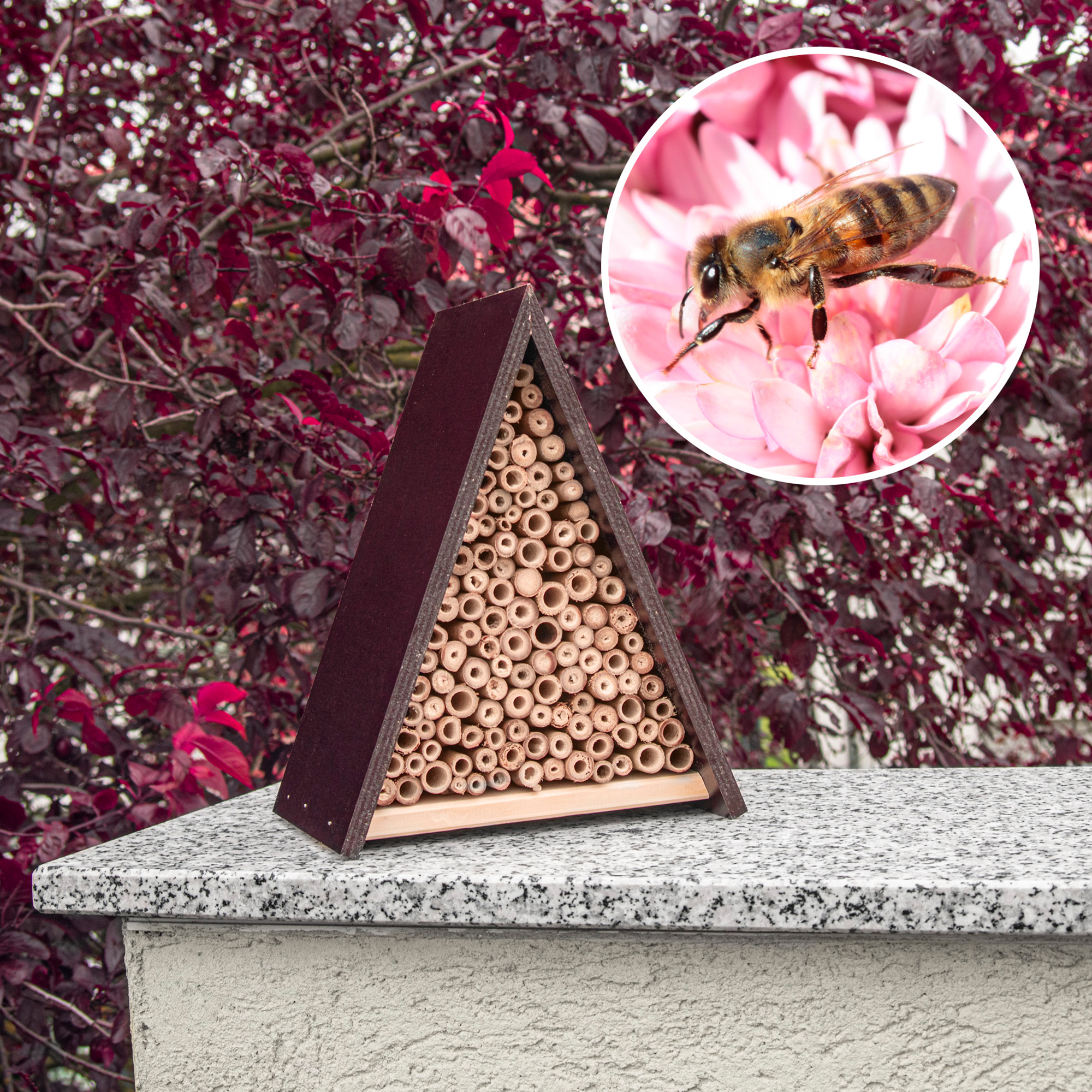 Die Bambusröhren bieten den Bienen eine natürlich Nistmöglichkeit, die sie in der Natur immer seltener finden.