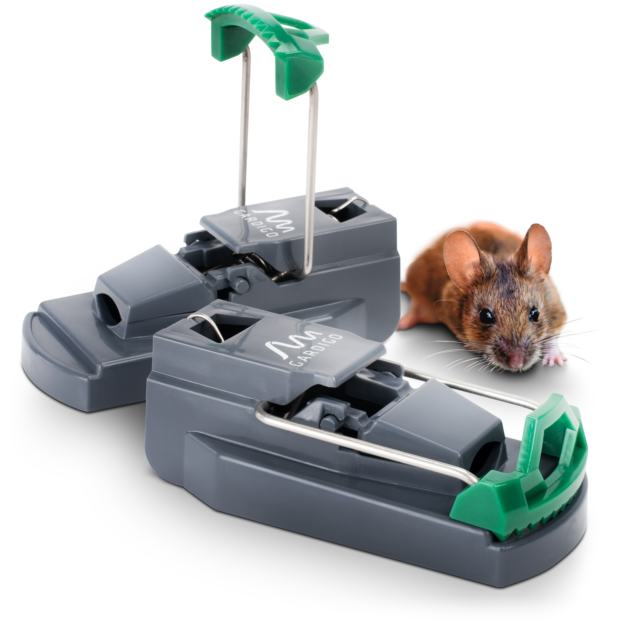 Trappola per Topi Professionale, Set da 2
